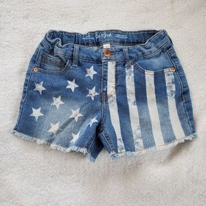 Cat & Jack Stars and Stripes Shorts, Sz L (10/12)